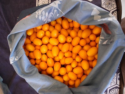 Kumquat Compote