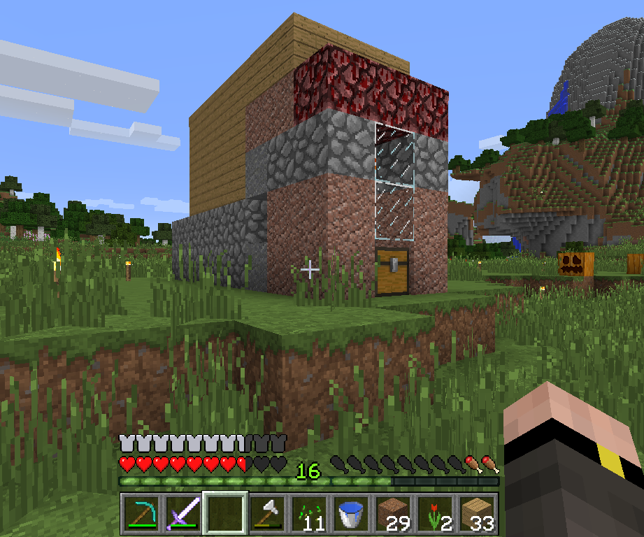 Automated Chicken Farm