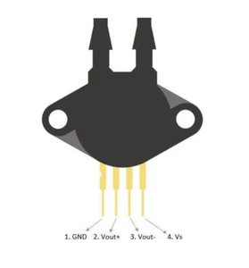 Building the Circuit