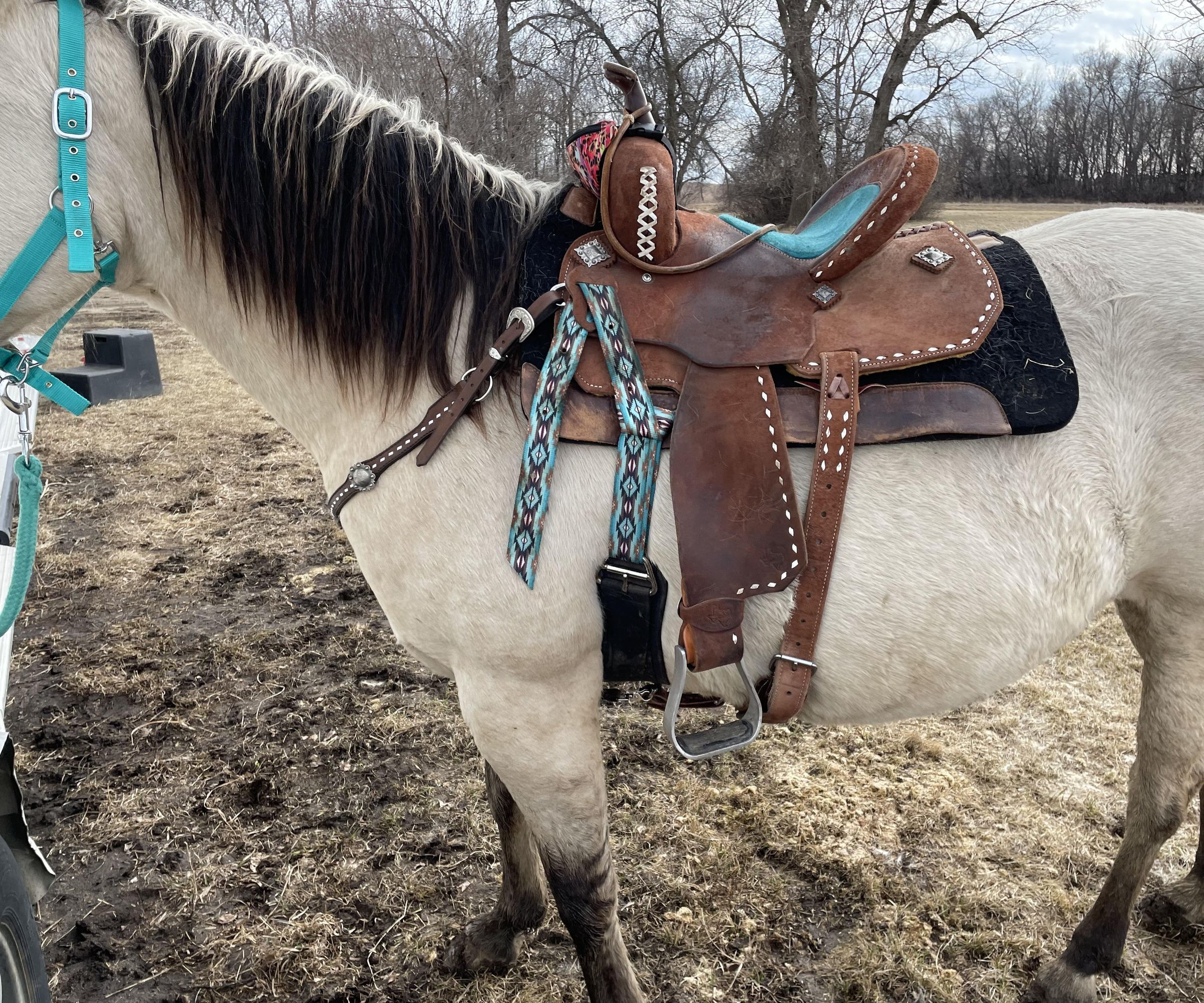 How to Saddle a Horse.