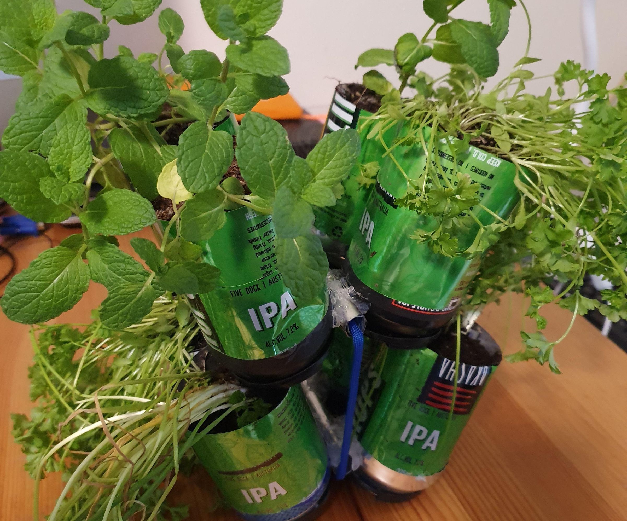 Self Watering Pot Plant From Drink Cans