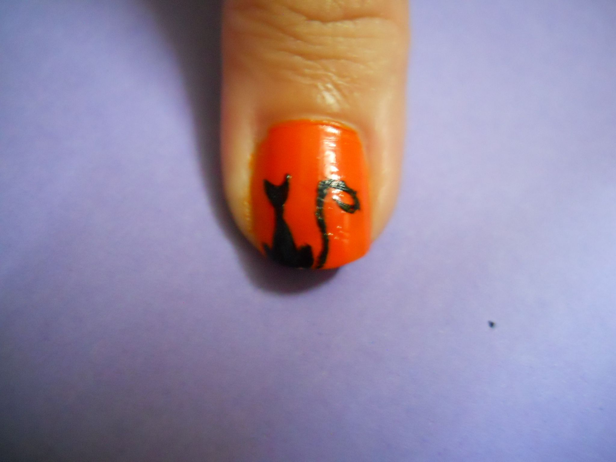 Cat Nail Art (with Pictures) Instructables