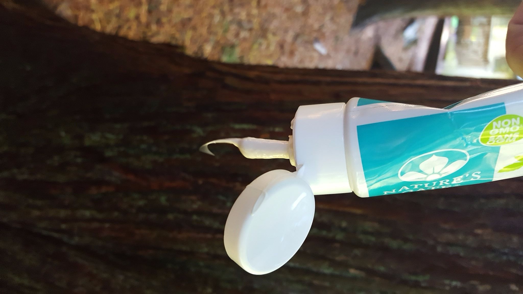 Toothpaste Bug Bite Removal 3 Steps Instructables