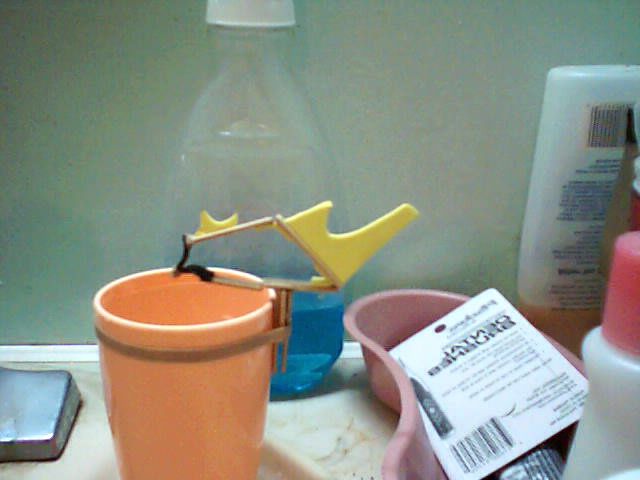 Dualing Pine Petal Birds