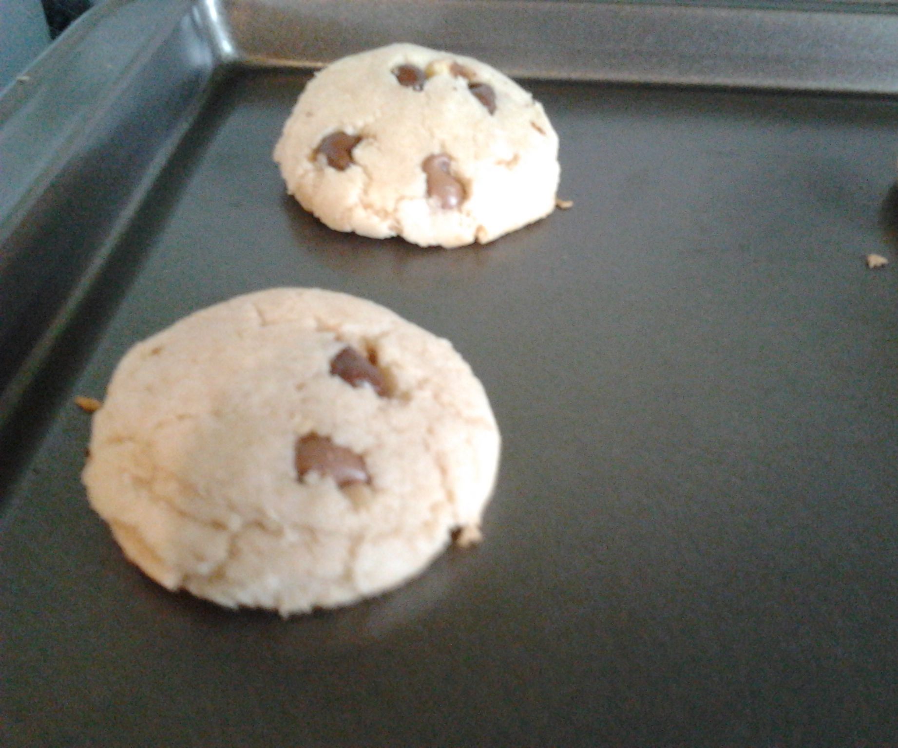 Butterfree Chocolate Chip Cookies