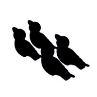 download {{ file.name }}