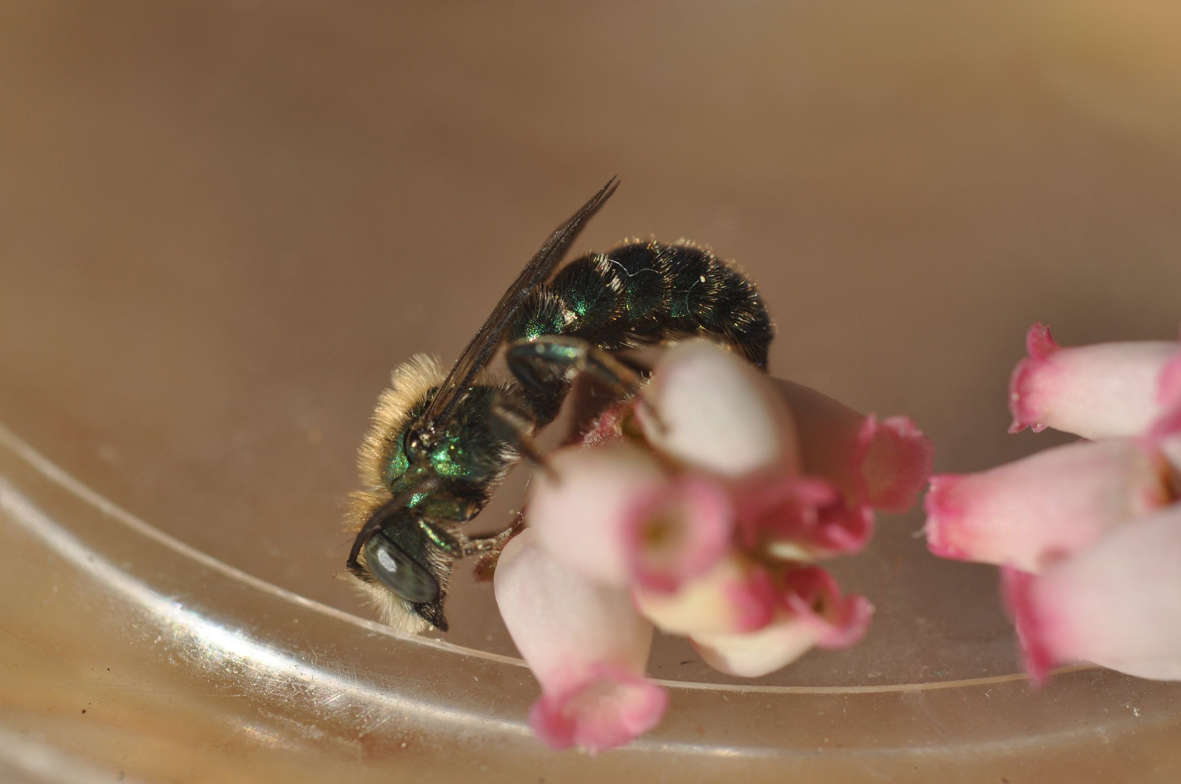 How to Make Bee Houses 4 Steps Instructables