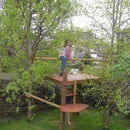 Not a Tree House, Not a Climbing Frame