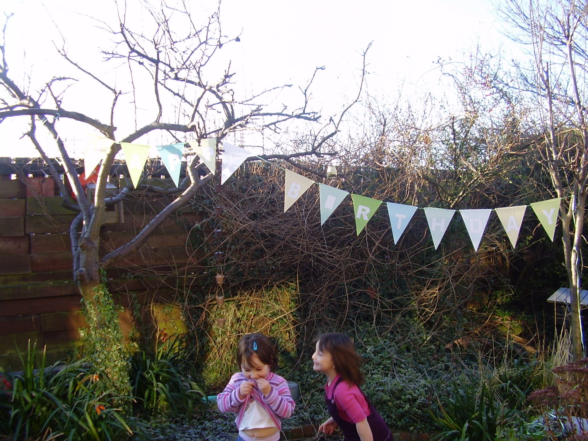 Party Bunting