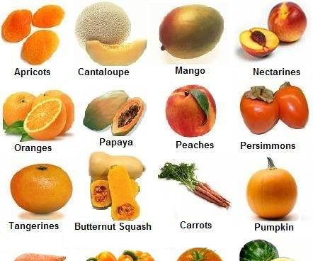 TOEFL Exam Online Preparation