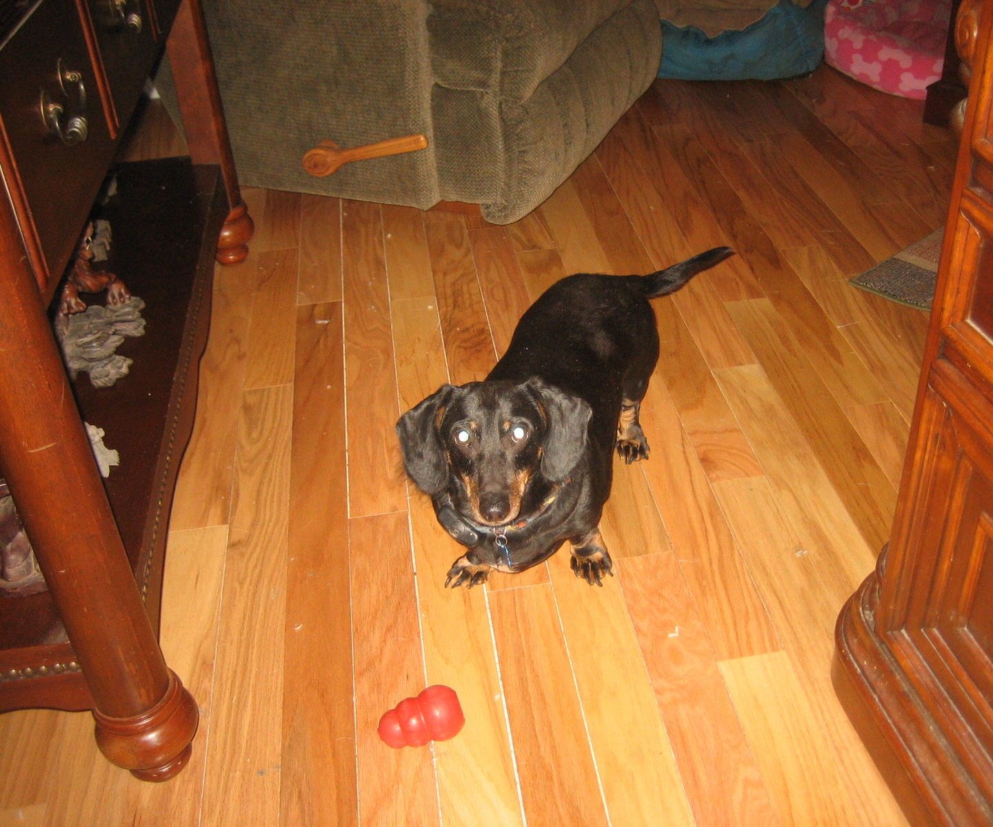 HOW I INSTALLED a FLOOR WITHOUT EMPTYING THE ROOMS