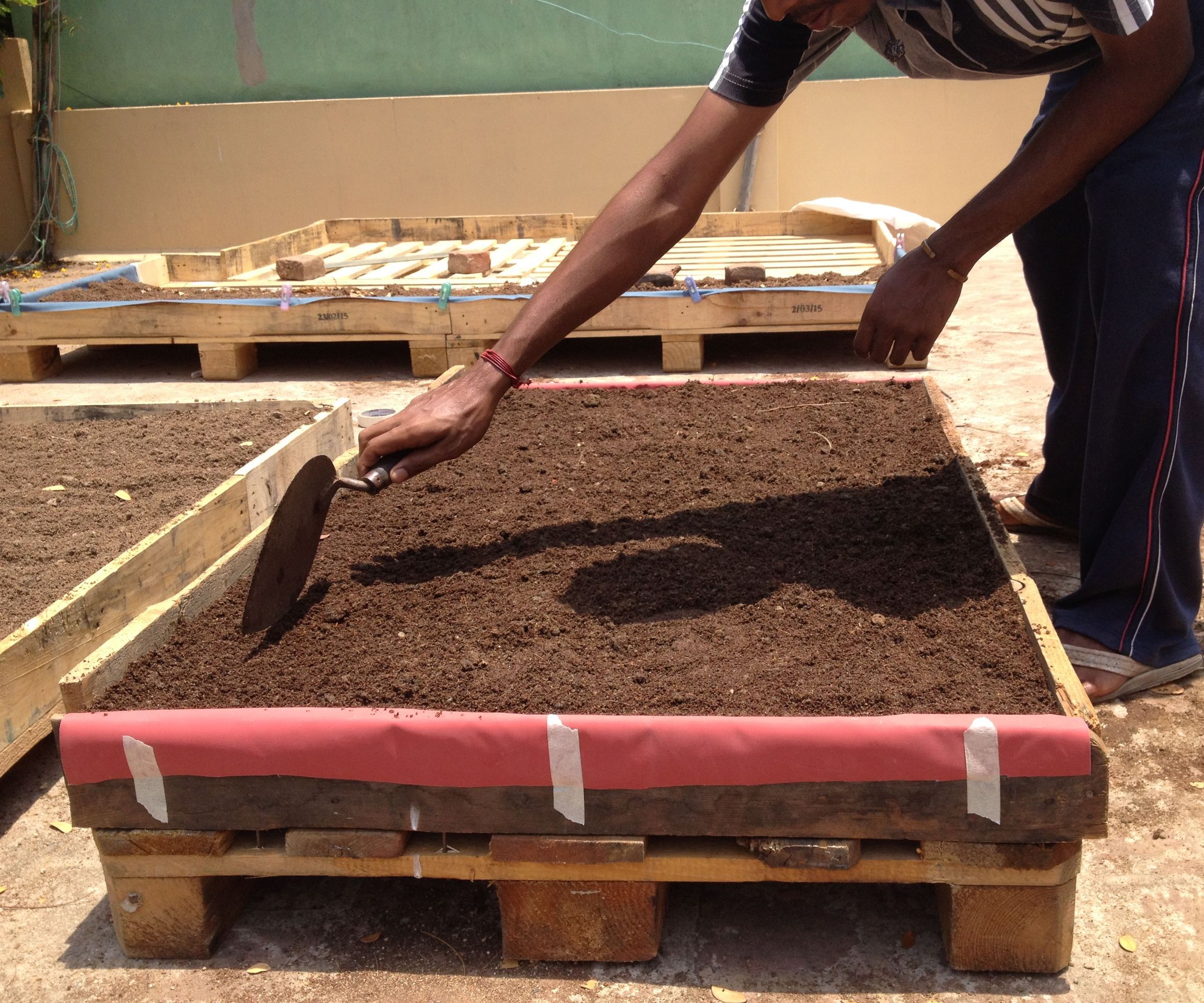 The Ultimate Terrace Garden: Square Foot Pallet One Gardening System Is All You Need