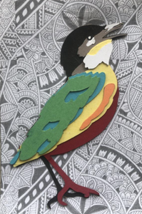 Layered Paper Indian Pitta Bird