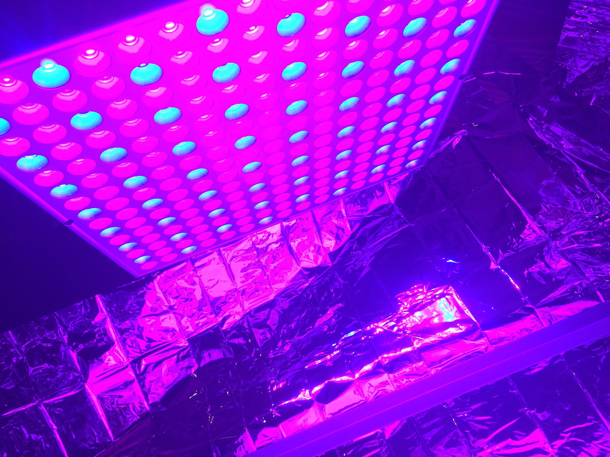 Simple Basement Aquaponic System 
