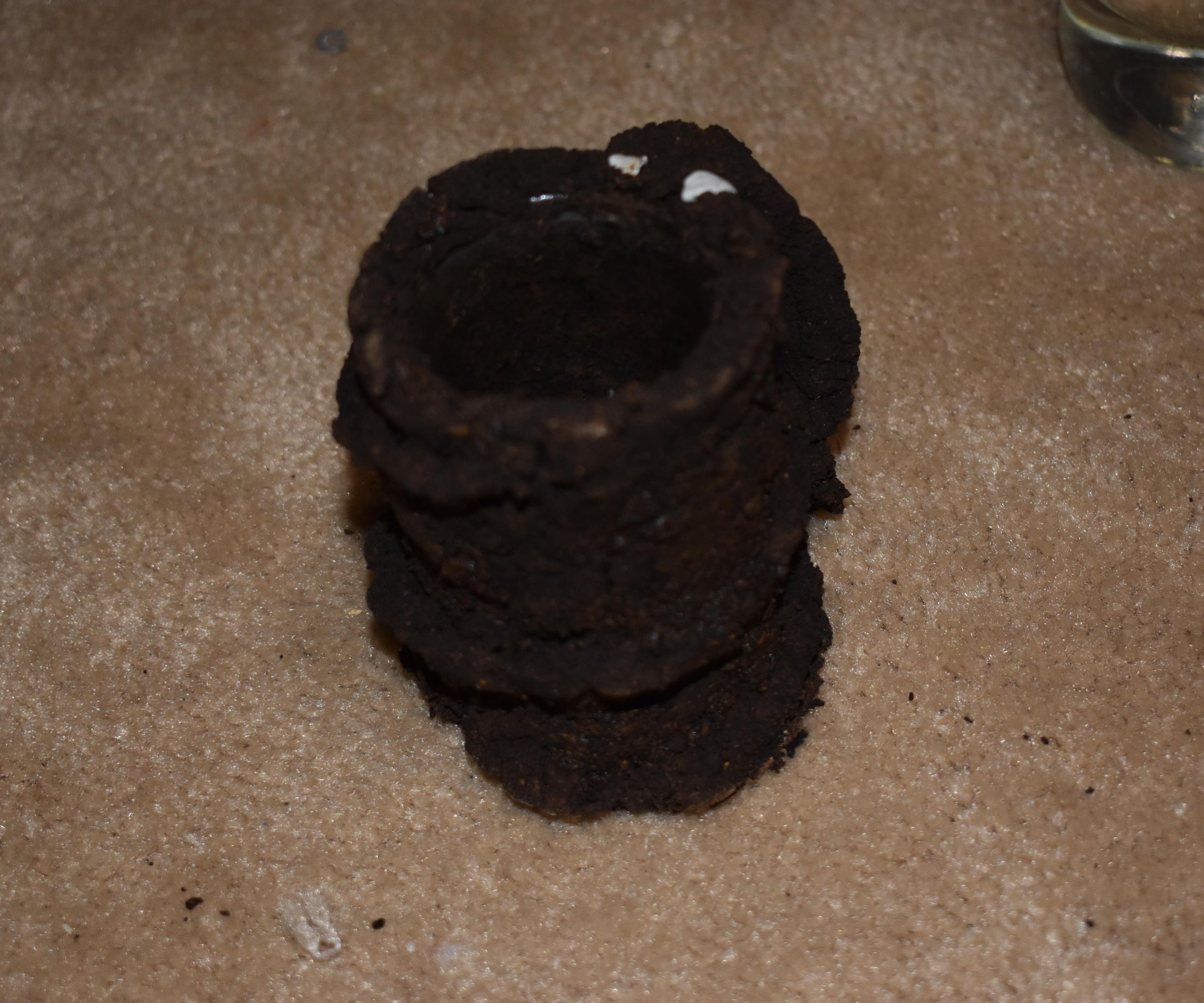 DIY Mug From Coffe Grinds