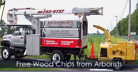 Arborists or Wood Chipper