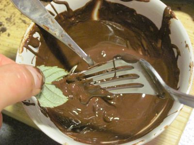 Chocolate Accents
