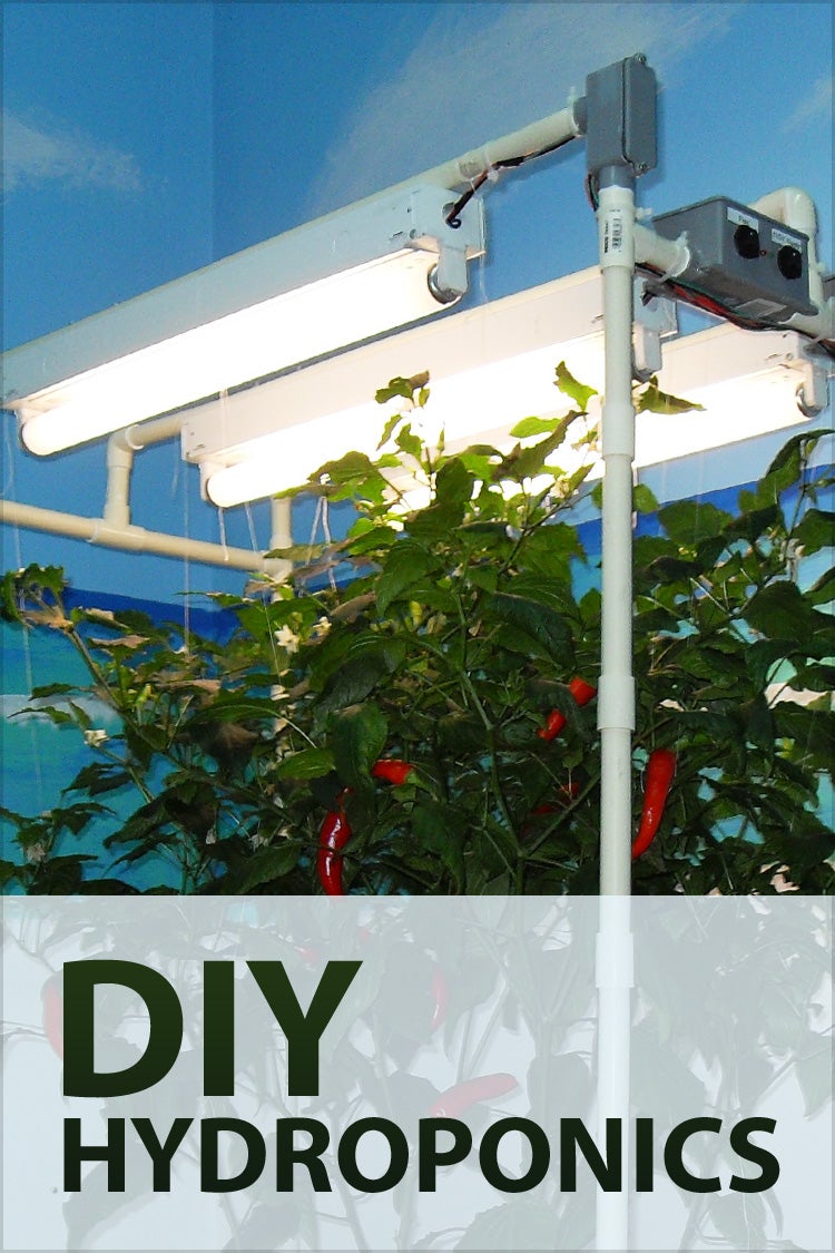 Collection Cover Image: DIY Hydroponics