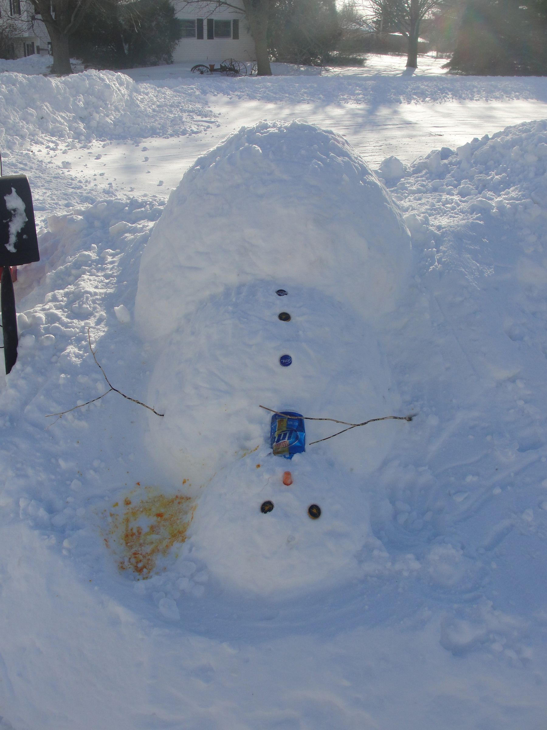 Adult Fun With Snow!