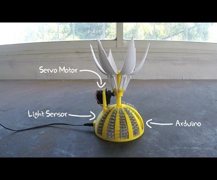 Valentine's Sunflower