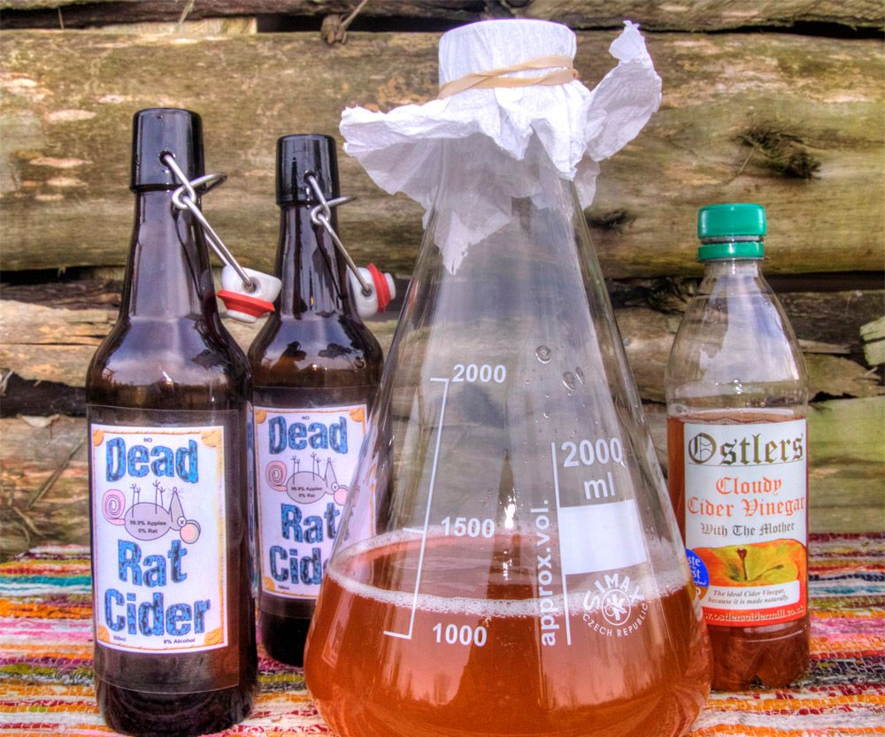Make Apple Cider Vinegar Recipe