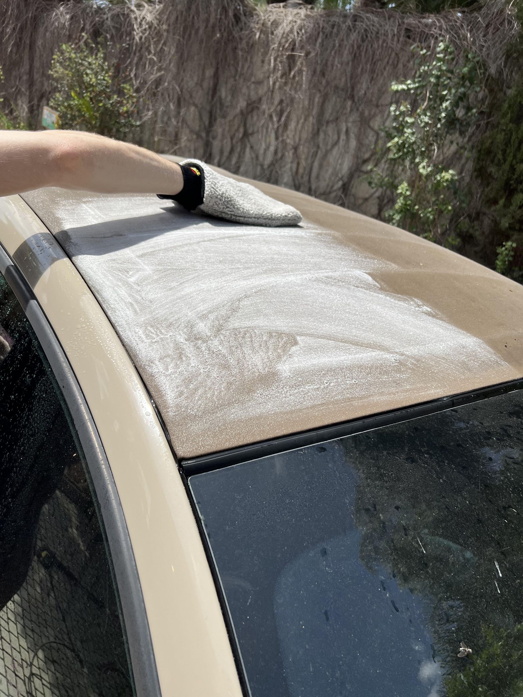 Cleaning Mold Off a Soft Convertible Top 6 Steps (with Pictures