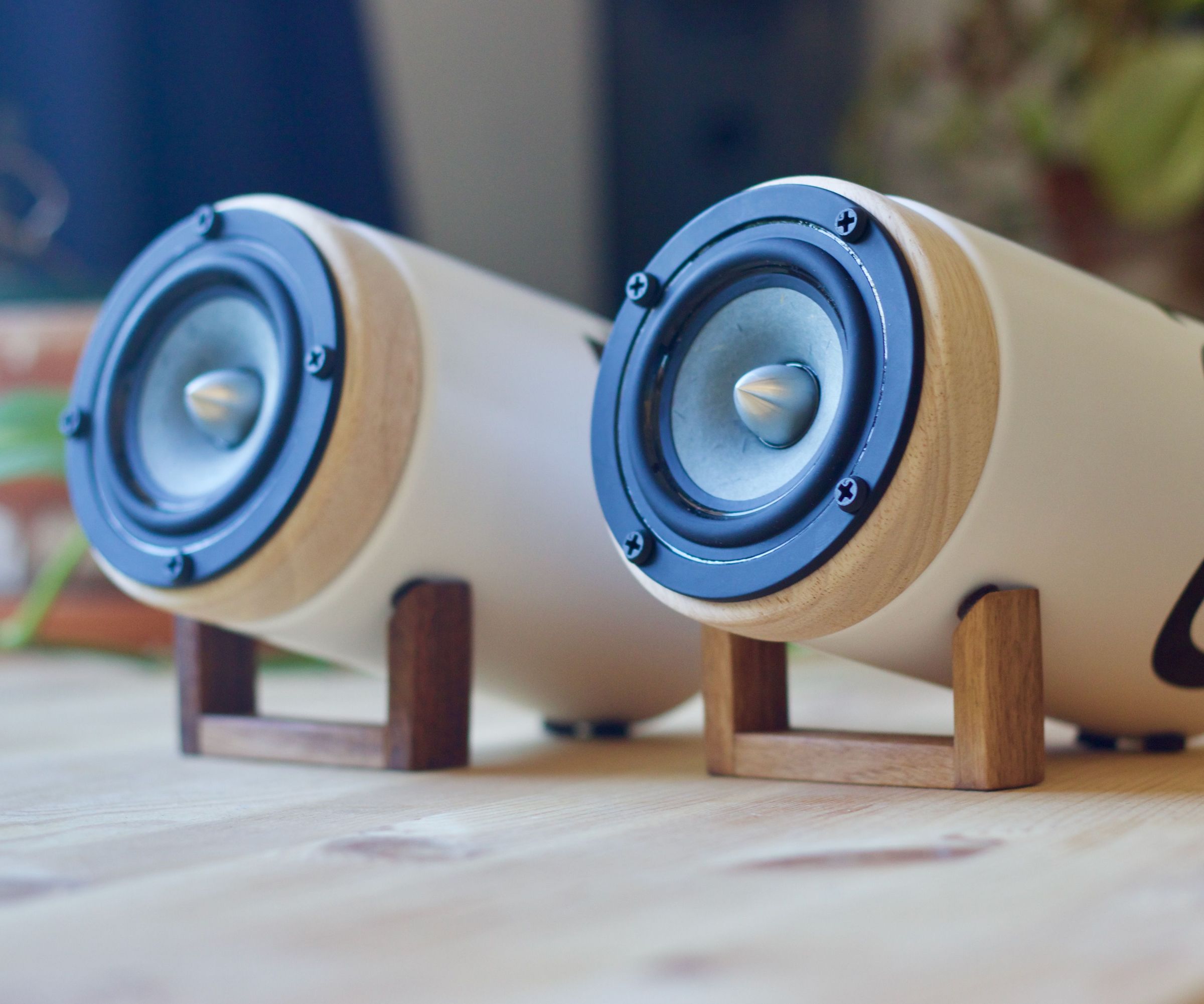 Ceramic Speakers