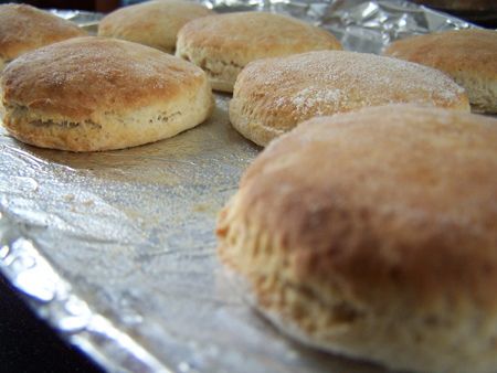 Quick Scones Recipe