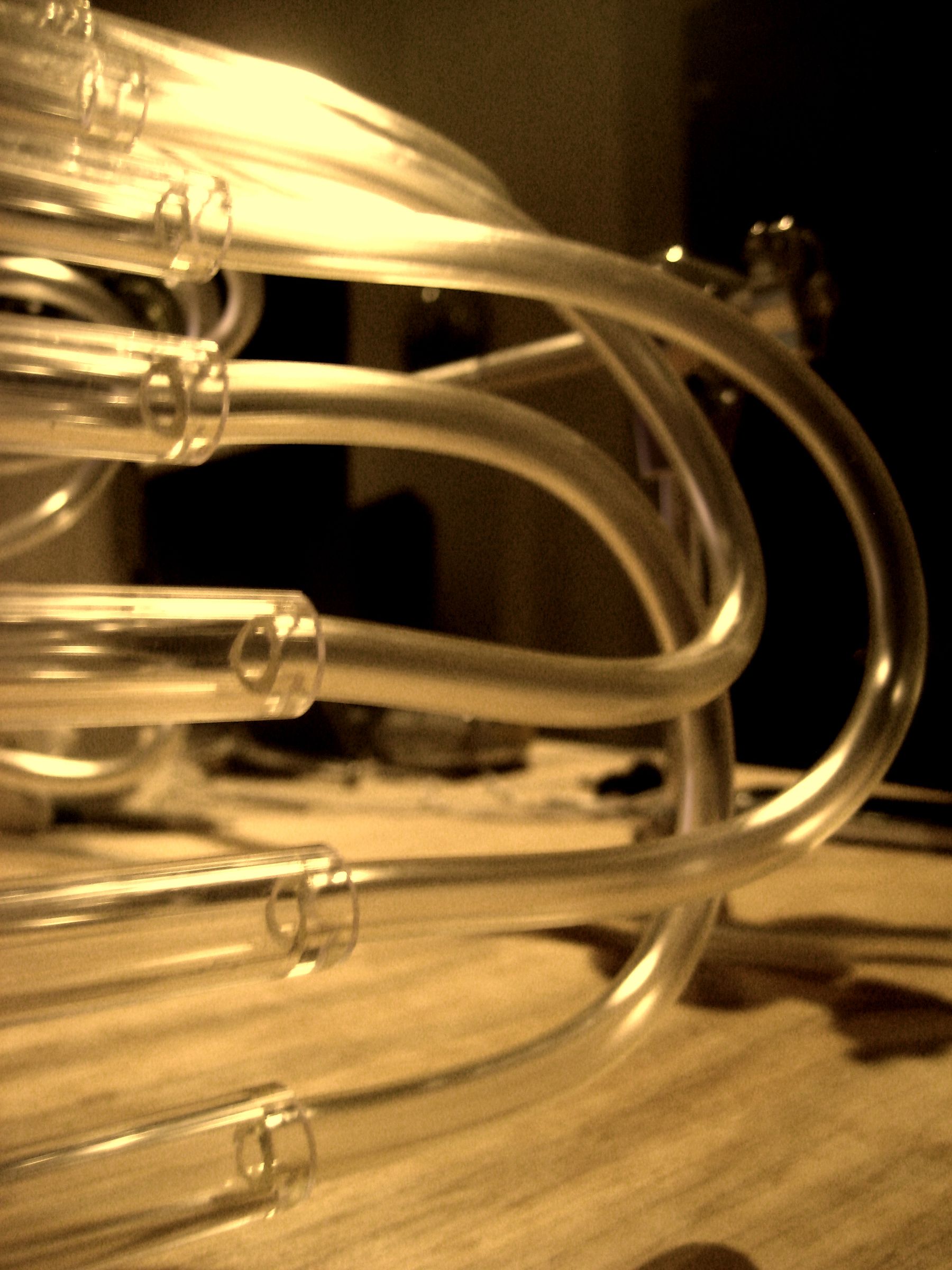 The Algae Experiment: How to Build Your Own Algae Photo-bioreactor ...