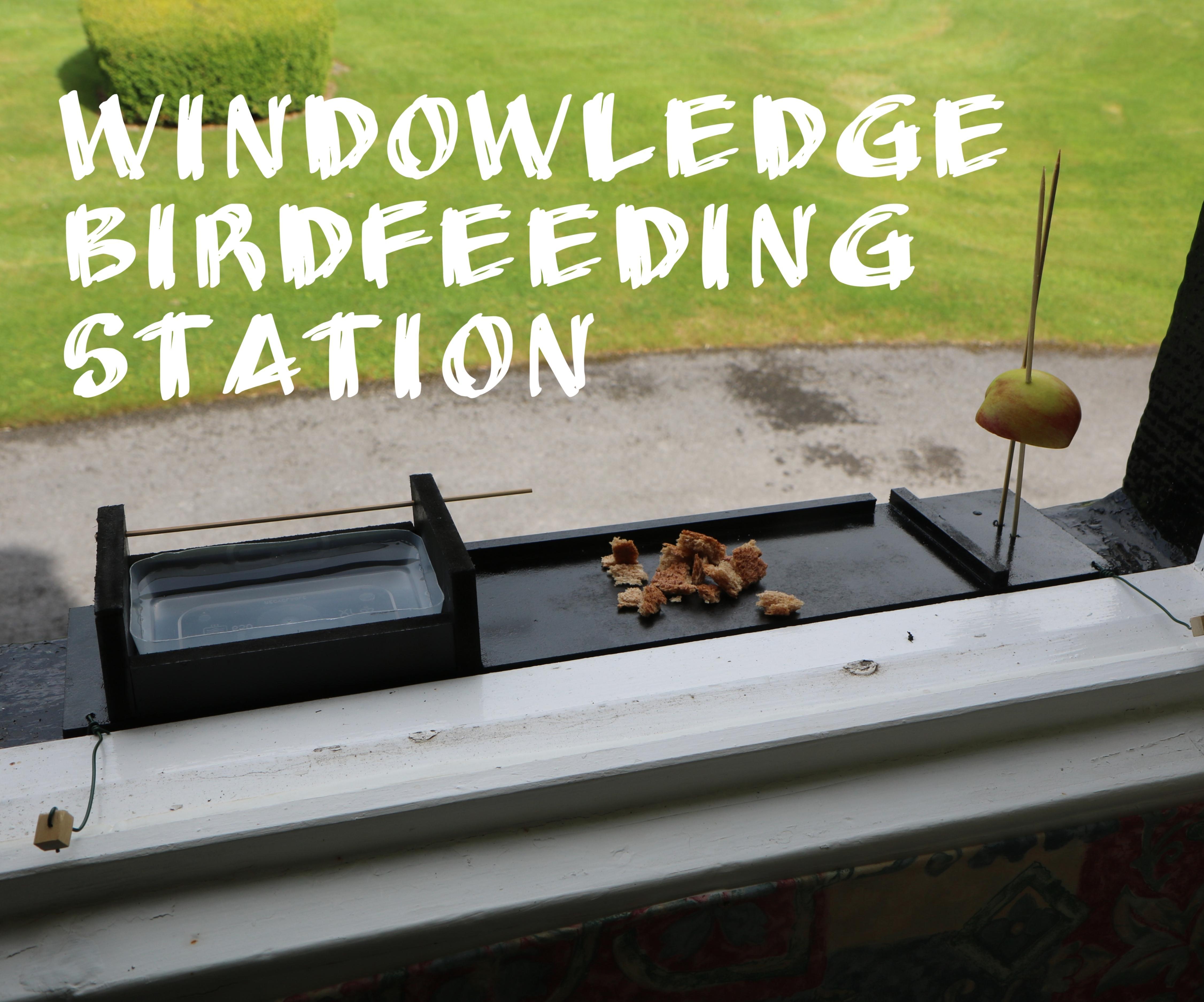 Window-Ledge Bird-Feeding Station From Scrap