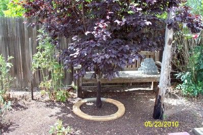 How to Make Concrete Tree Rings : 12 Steps (with Pictures) - Instructables