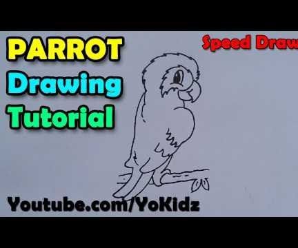 How to Draw a Parrot