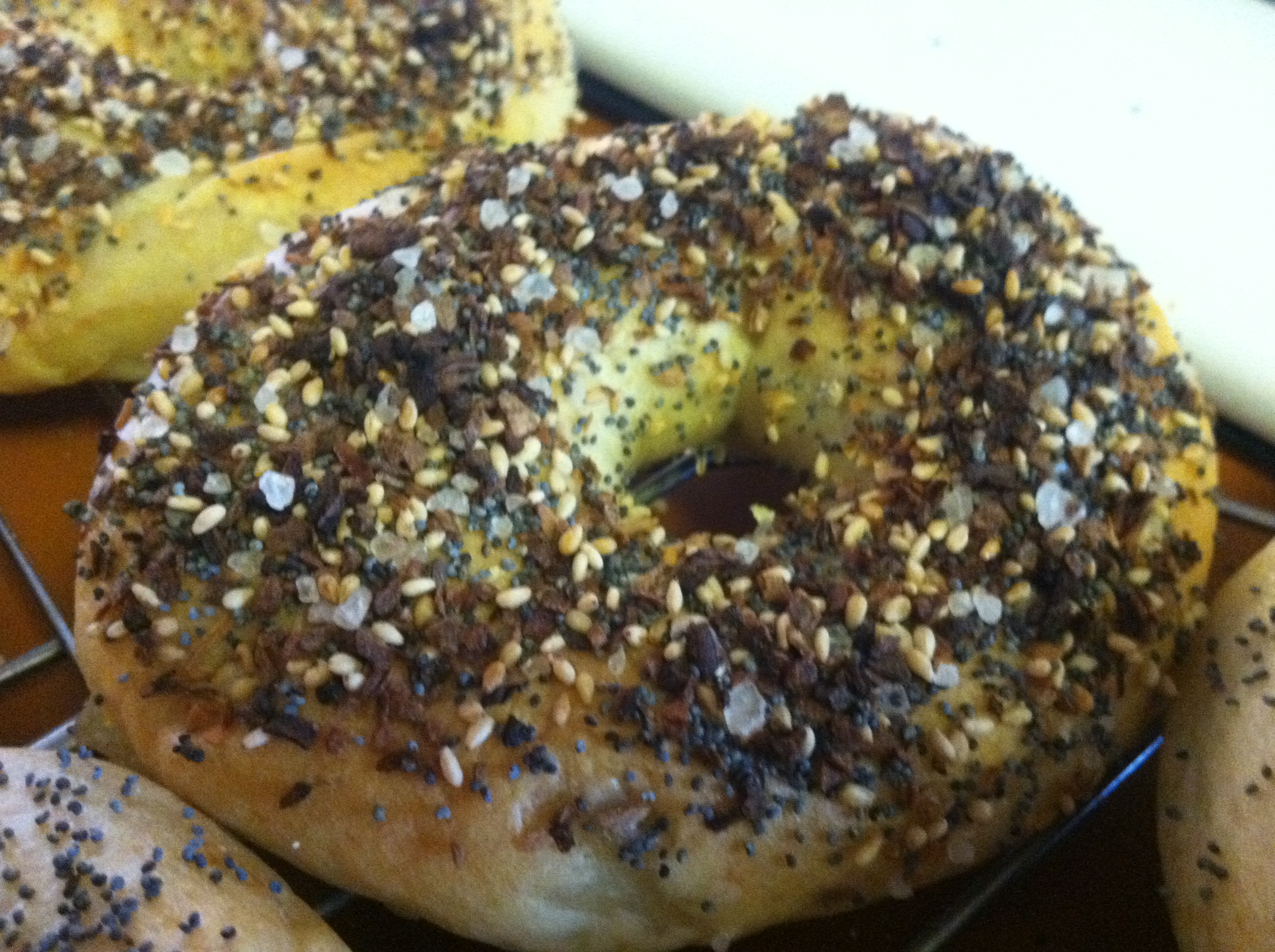 Basic Bagel Recipe ("Water Bagels")!