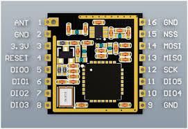 Lo-Ra Module Pinout