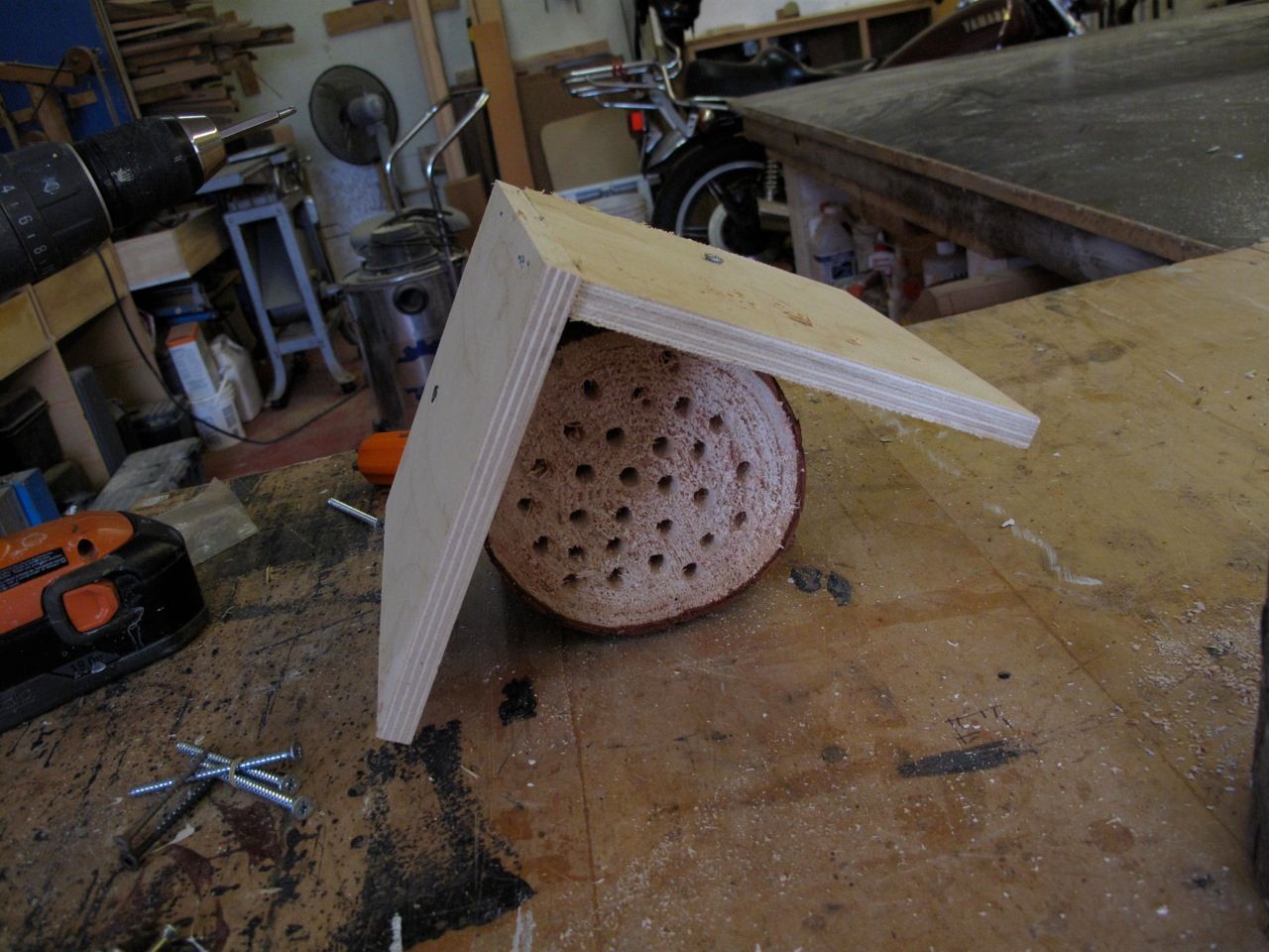 Happy Home for Our Friends the Mason Bees!