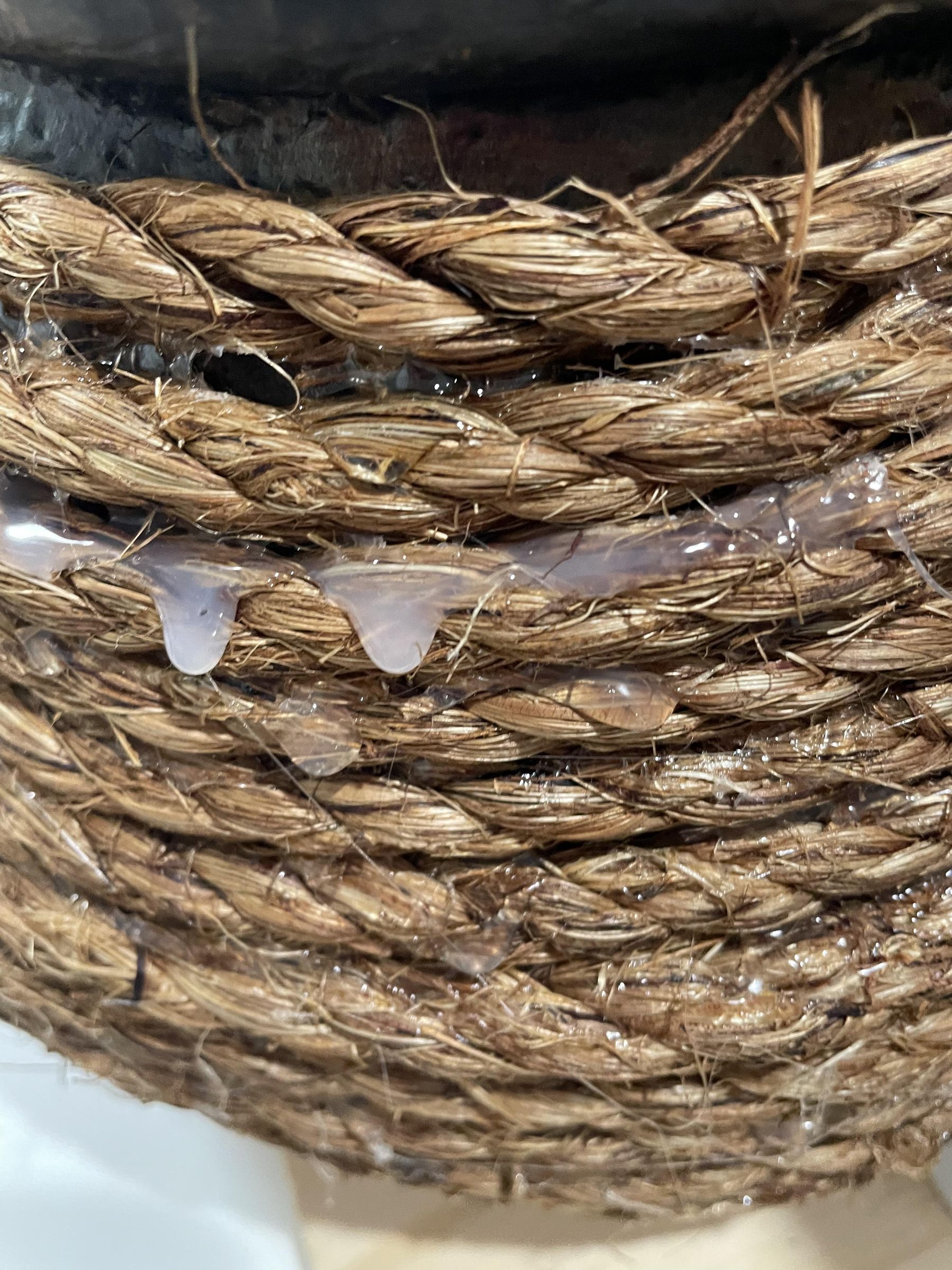 THE QUEEN’S BEE KEEPER and the HONEYPOT : 3 Steps (with Pictures ...