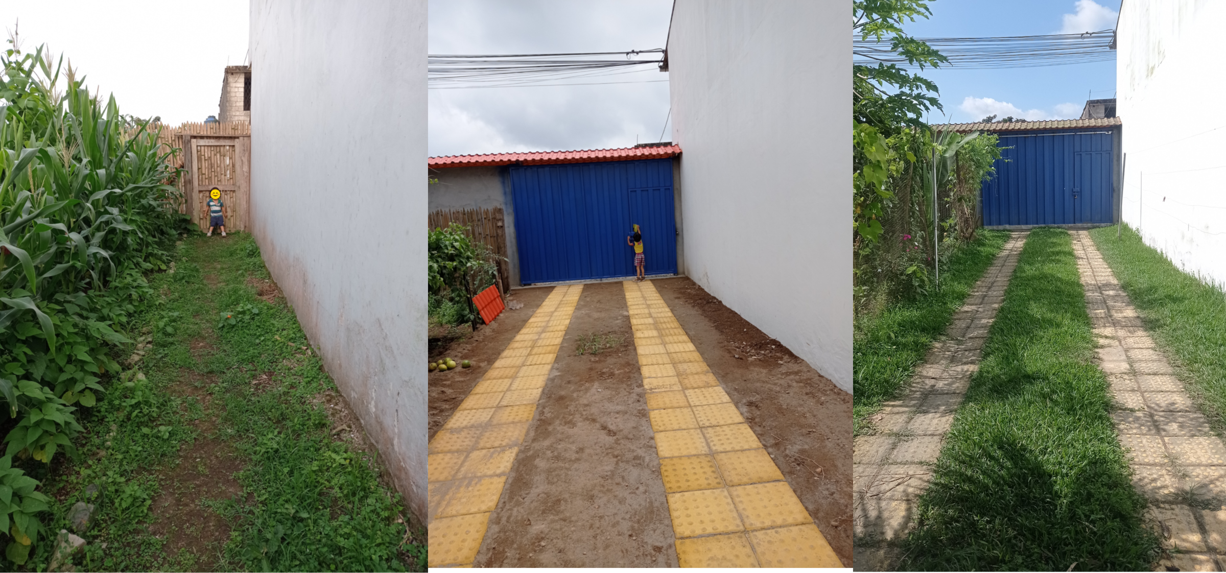 Transform Your Backyard: Paver Pathway With Grass to Absorb Rainwater