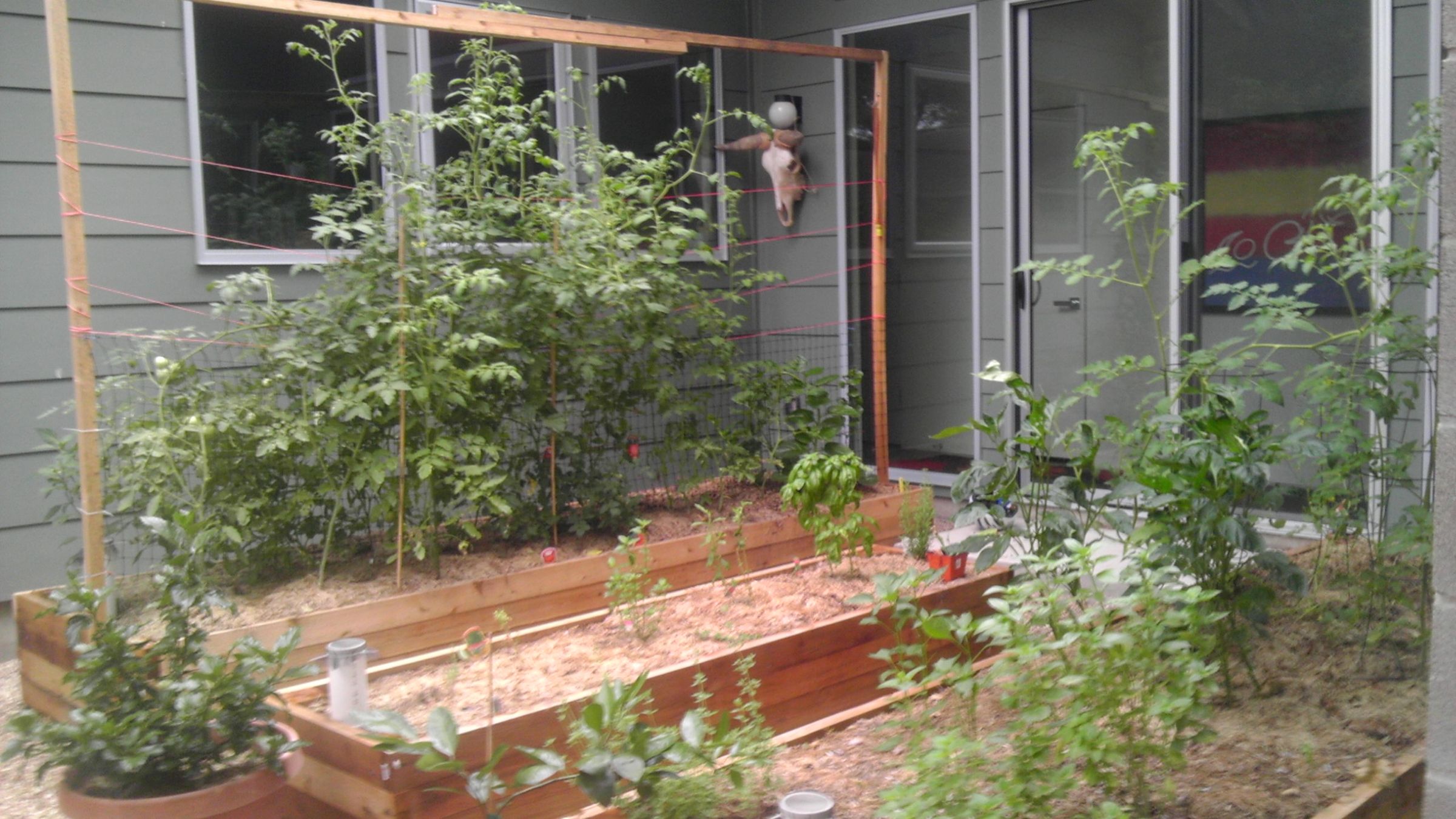 Austin Texas Wicking Bed Raised Garden 4 Steps Instructables