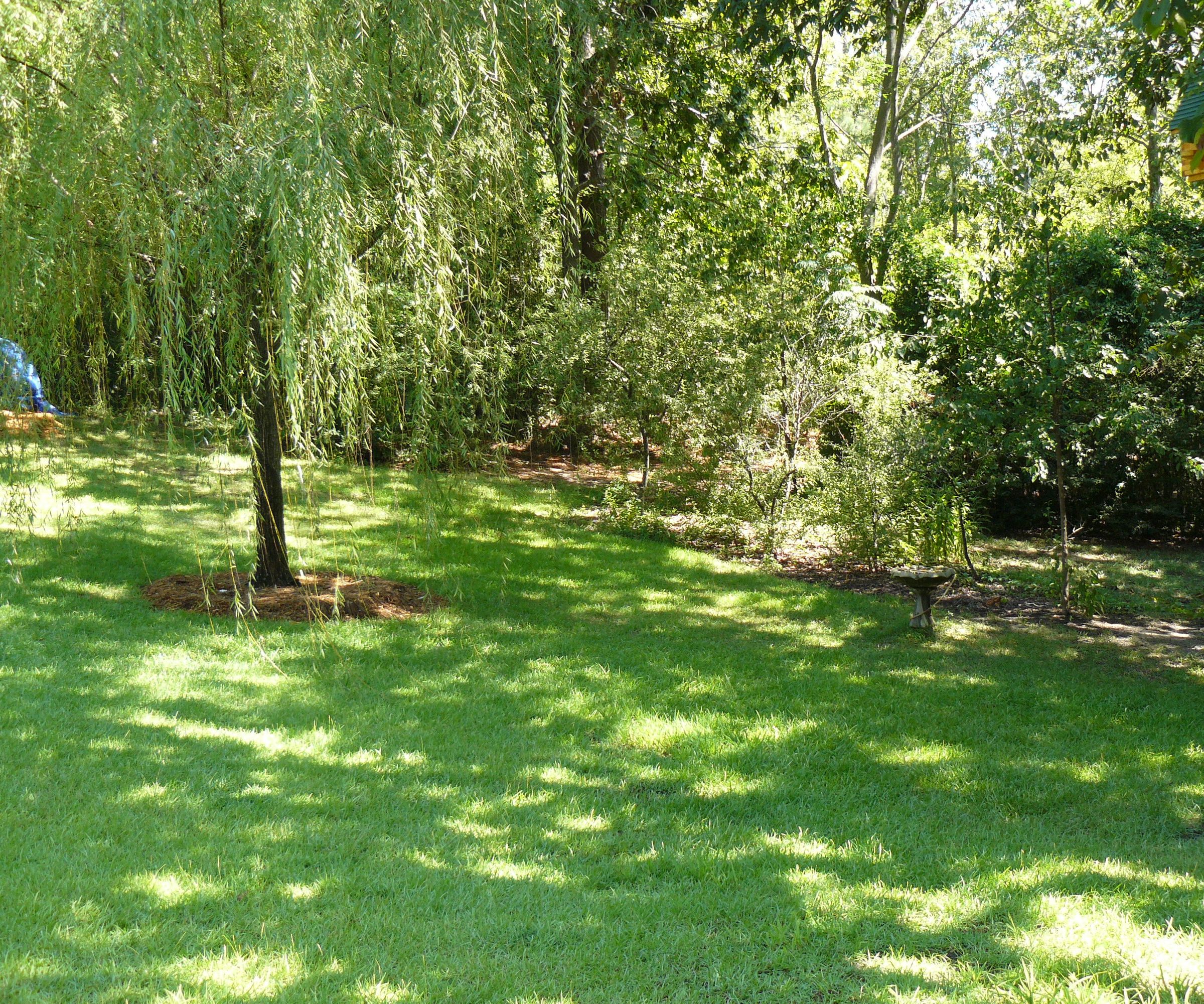 Sustainable Watering System