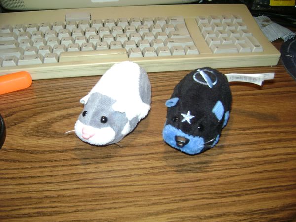 Evil Zhu Zhu Pet