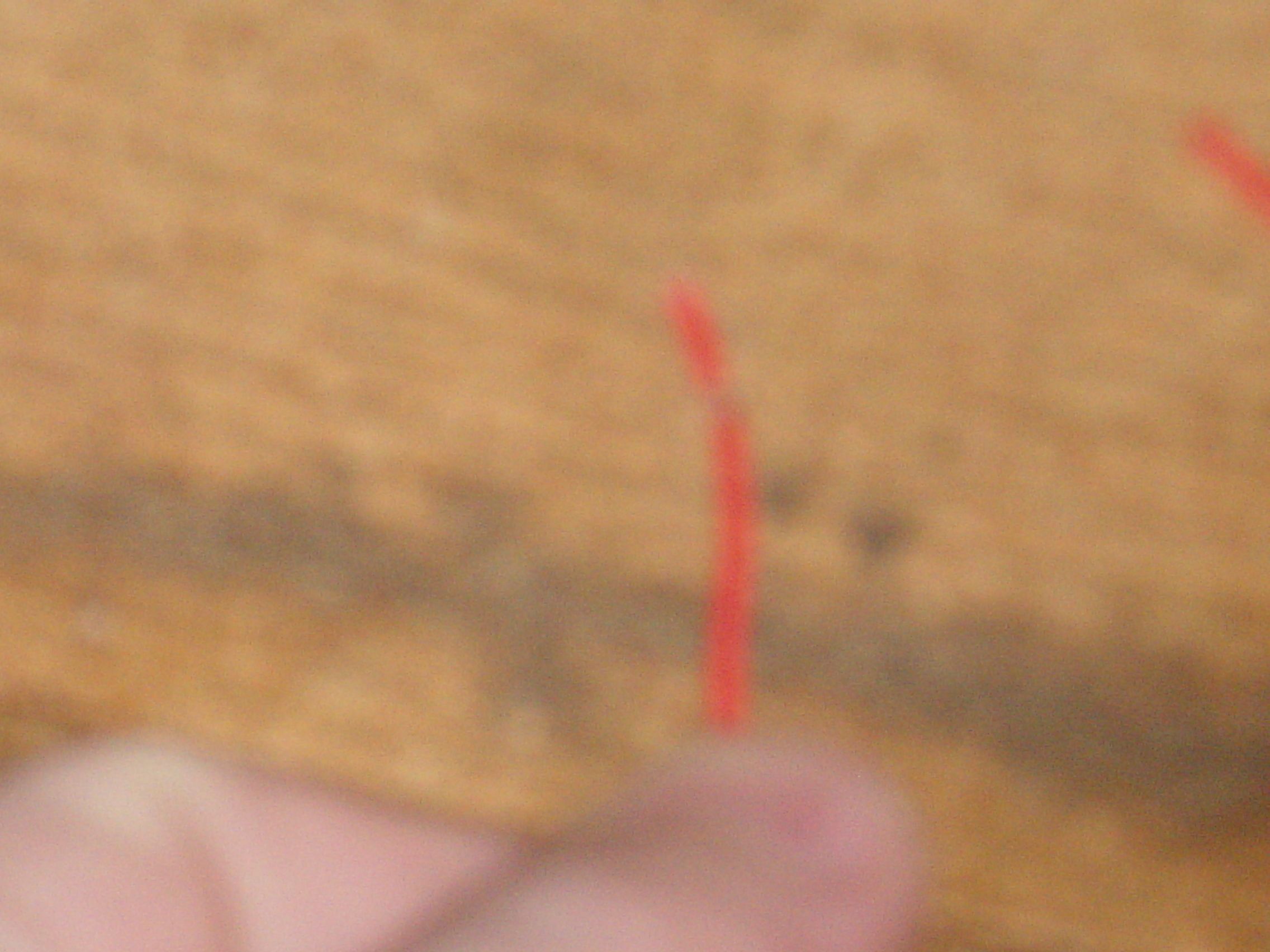 How to Strip Wire (Without a Wire Stripper) 6 Steps Instructables