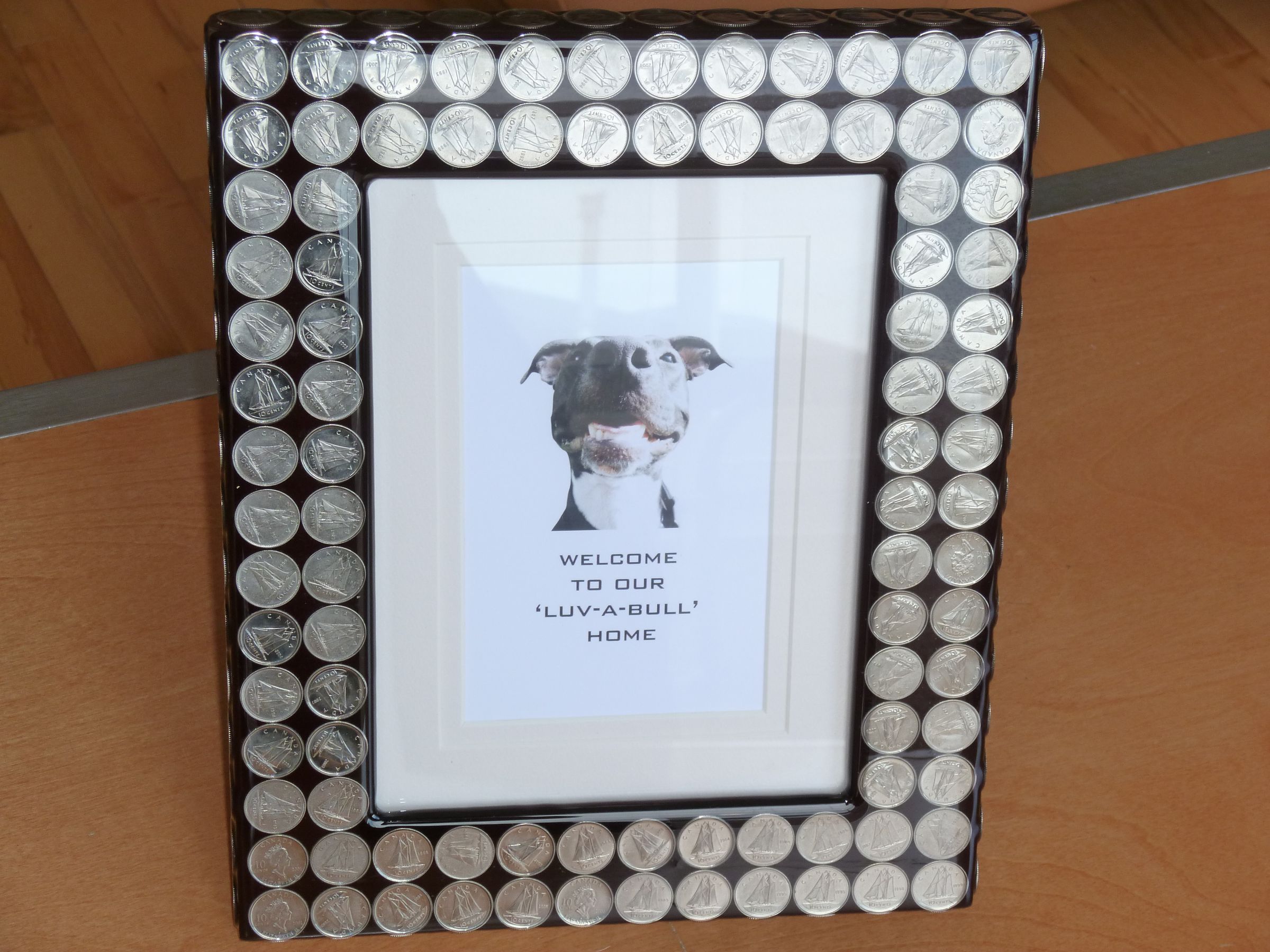 $ DIME FRAME $ Add Bling to Your Boring Picture Frame.