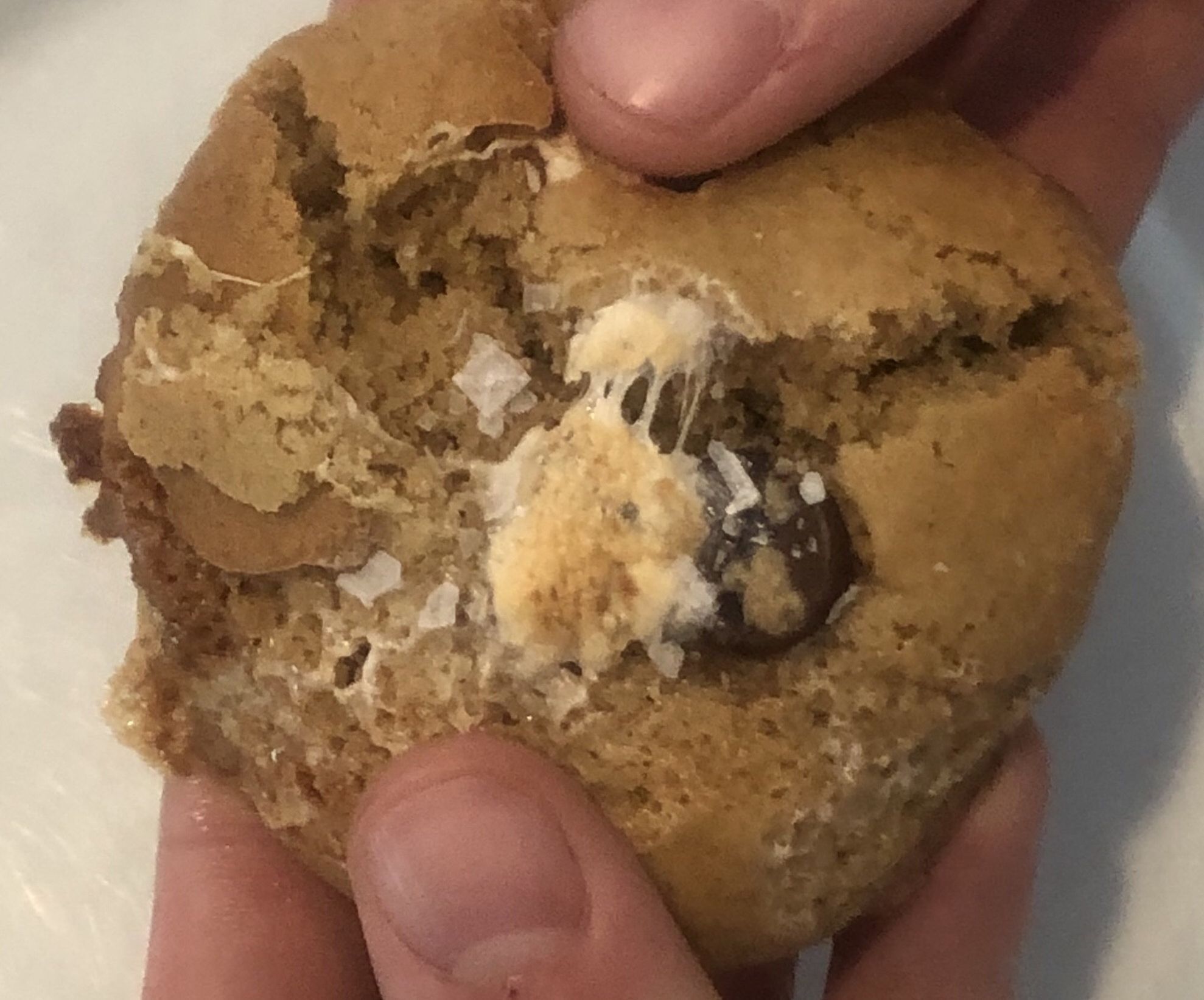 How to Make Smookies (s’more+cookie)