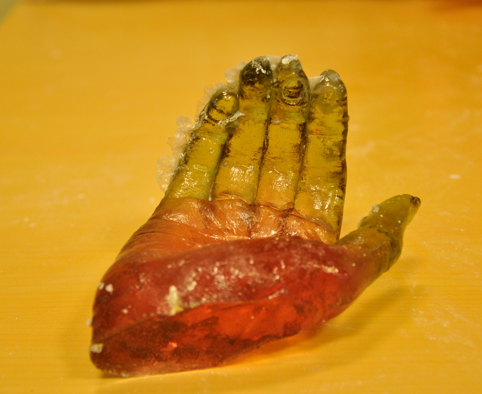 Alginate Mold - Polyester resin copy