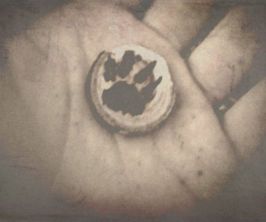 Cedar Limb Pendant