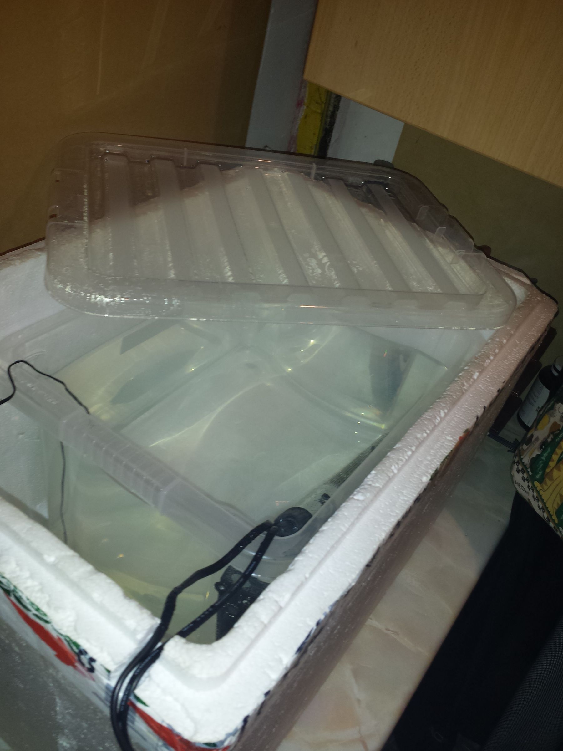 Sous Vide on a Budget 7 Steps Instructables