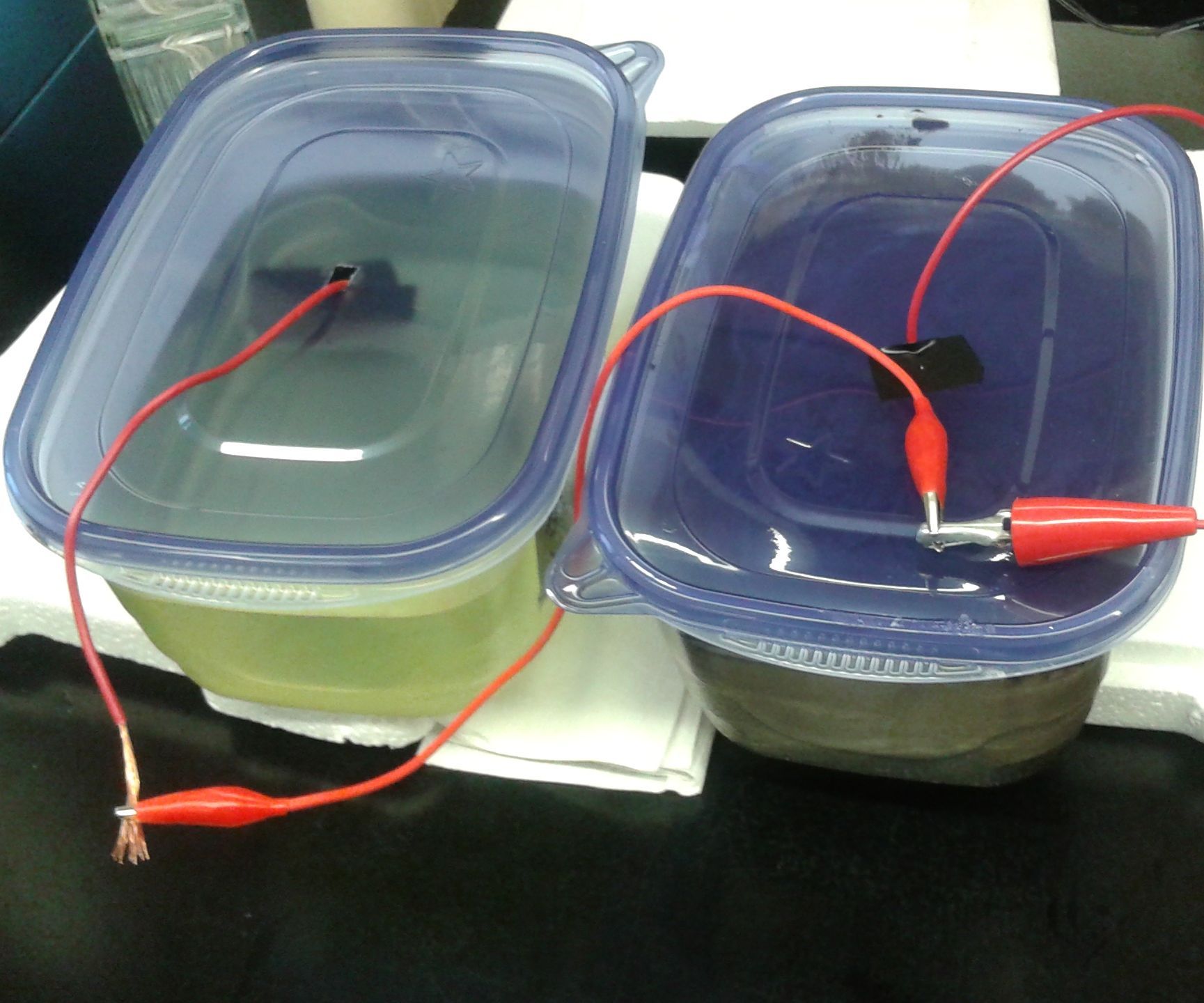 Make a Microbial Fuel Cell