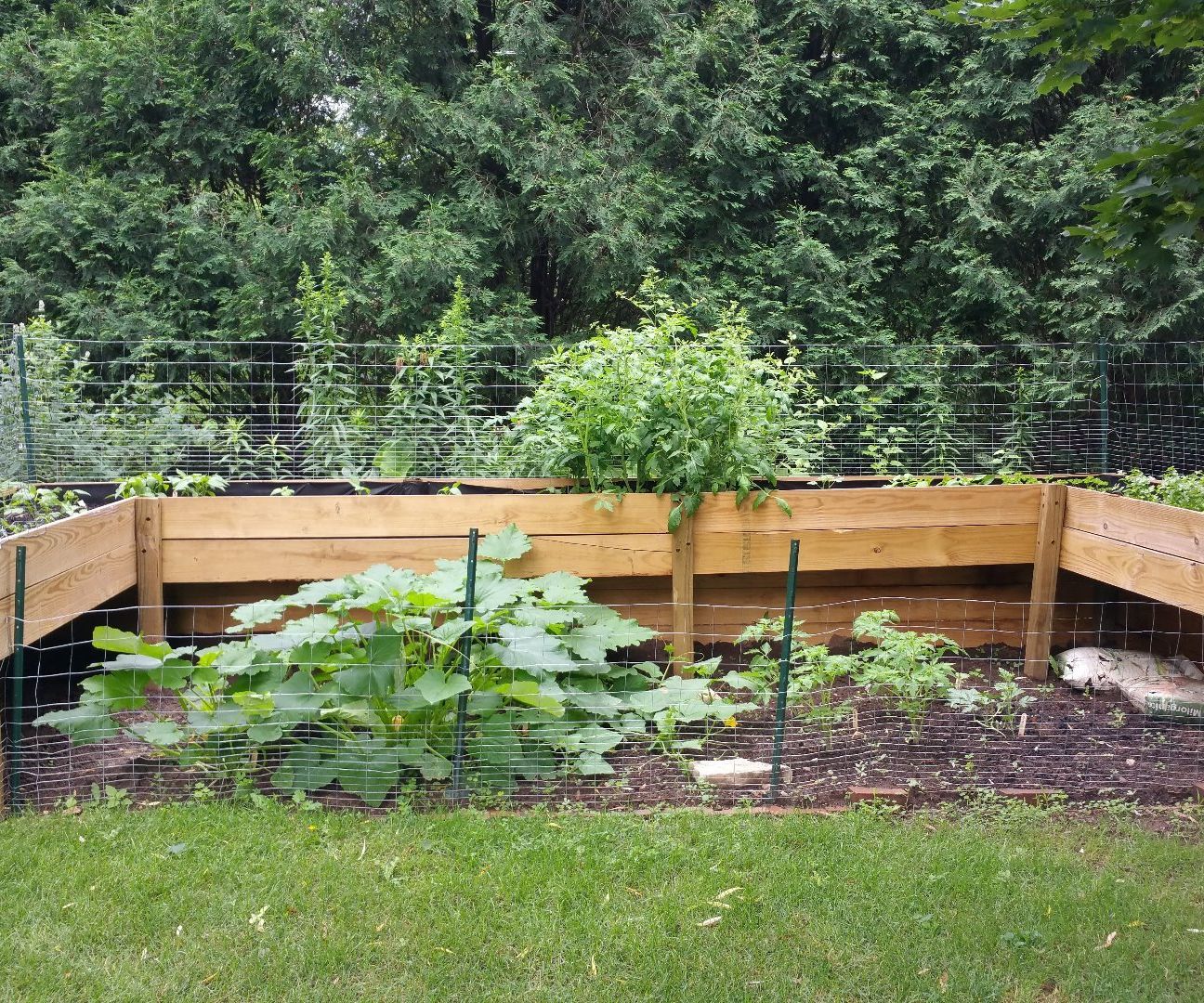 Raised Garden