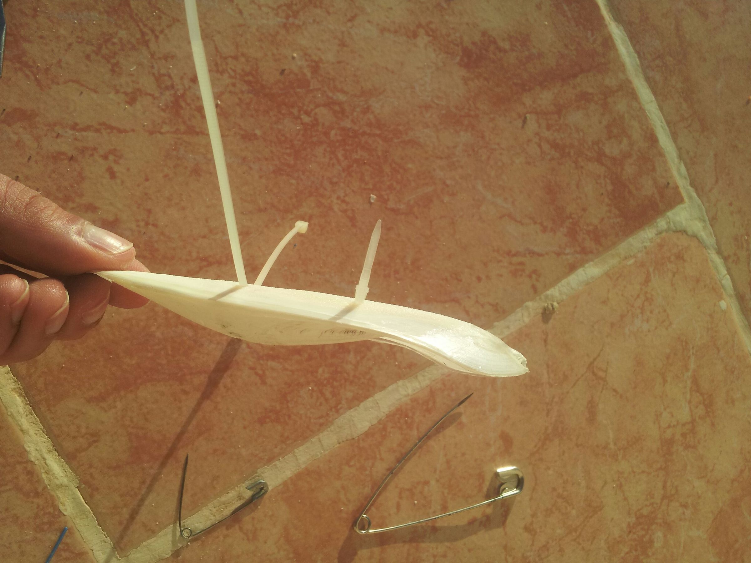 how to attach a cuttlebone to a bird cage iucnccsg