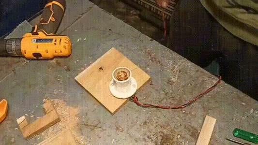 Installing the Bulb and Holder